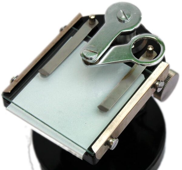 APEX LABS® Student Dissection Microscope - Image 2