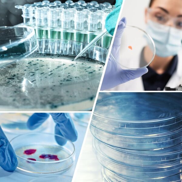 Apex Labs® High Borosilicate Glass Petri Dishes 90MM - Image 5