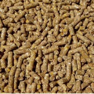 Mice Maintence feed in Pallets