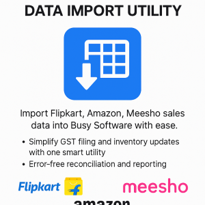 Smart Import Tool for Flipkart, Amazon, Meesho Sales into Busy