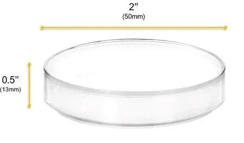 Petridish 50 Mm 2