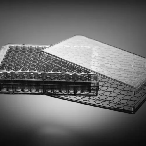 96-Well ELISA Plate with U-Bottom Wells | Microplate for Laboratory Research (Pack of 10)